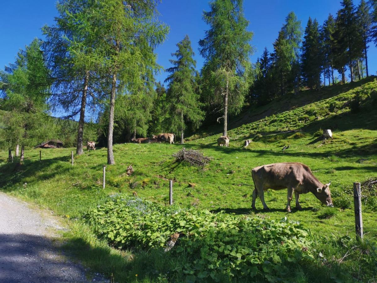 Haus Klinsterwald Sankt Oswald (Carinthia) Eksteriør billede